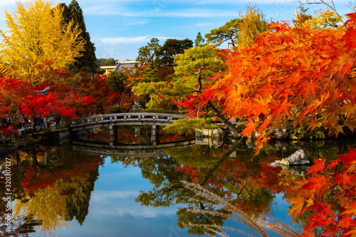 Japanese Autumn Momiji in Japan