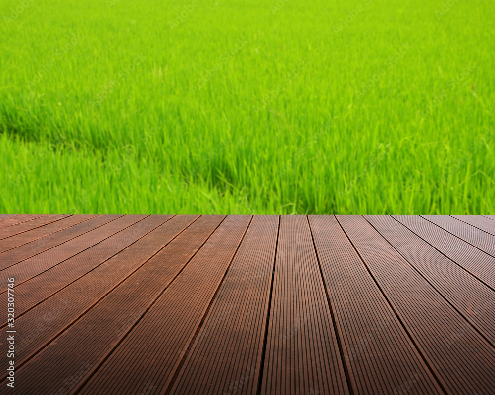 Fototapeta premium Green field under the sun. Wooden planks floor. Beauty nature background.