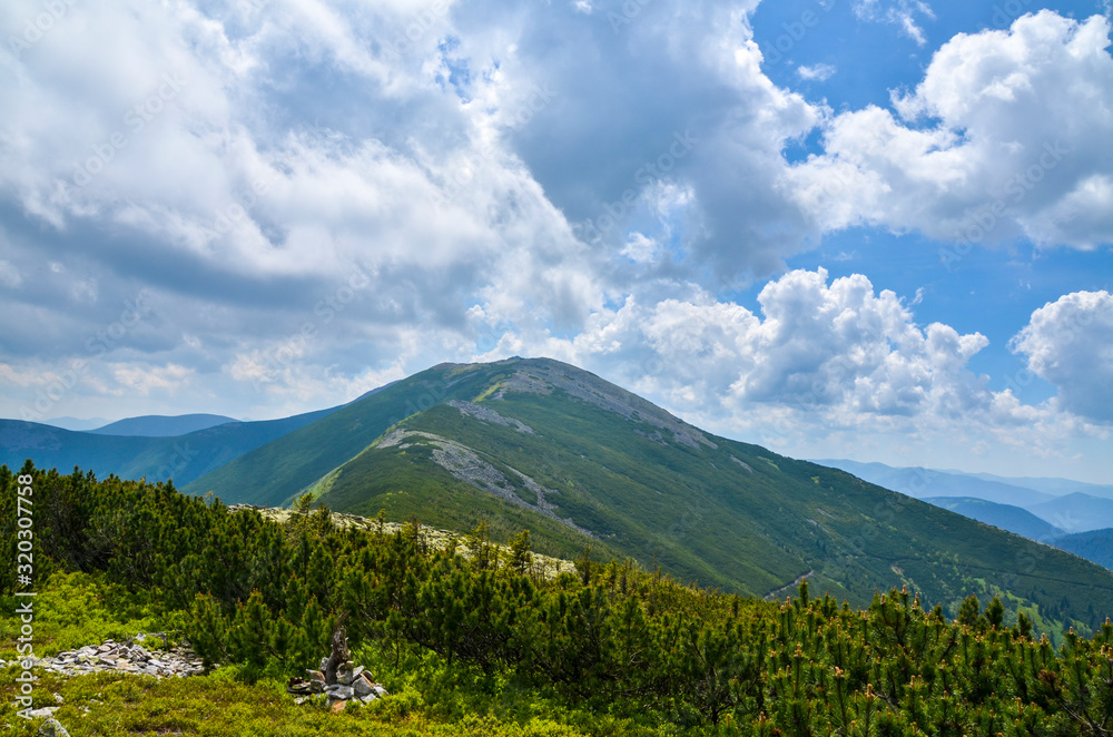 Fototapeta premium Mountain landscape. Amazing wild nature view of deep evergreen forest landscape on sunlight at middle of summer. Natural green scenery of cloud, stones with moss on mountain slopes Ukraine, Gorgany.
