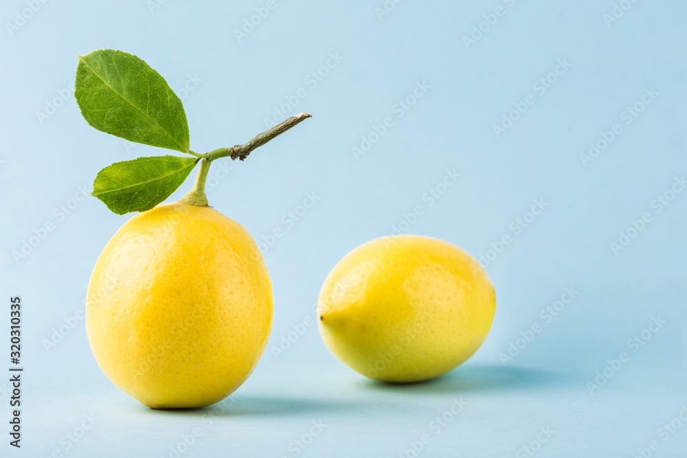 Two ripe lemons with a branch and leaves on a blue background. Side view.