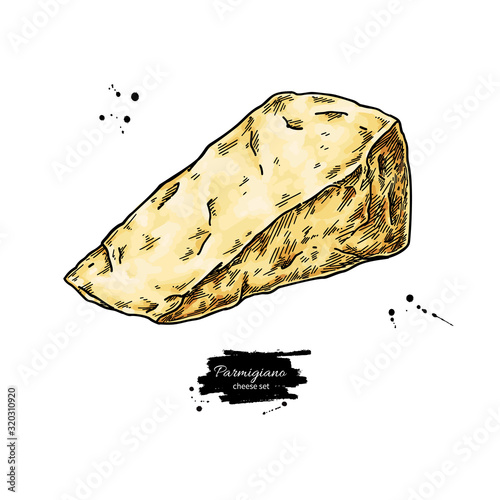 Parmigiano reggiano cheese drawing. Vector hand drawn food sketch. Triangle slice of parmesan.
