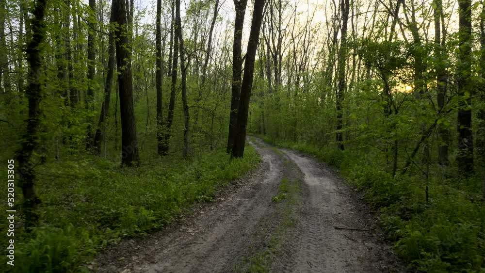 Rural Dirt Road In Forest. Spring Evening Rural Dirt Road In Forest. Spring Evening