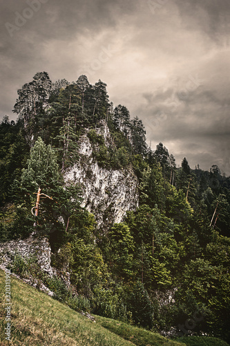 Tinted vertical landscape. Cliff overgrown with forest on a background of cloudy sky. Polish Penins photo