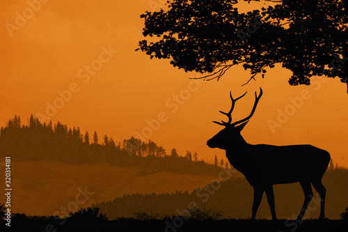 Orange landscape with a silhouette of a deer. Hills covered with forest and the silhouette of a deer under the tree in the foreground
