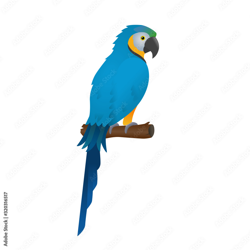 Parrot, macaw vector icon. Bird art.