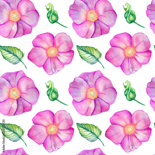 Watercolor seamless pattern with rose hips.