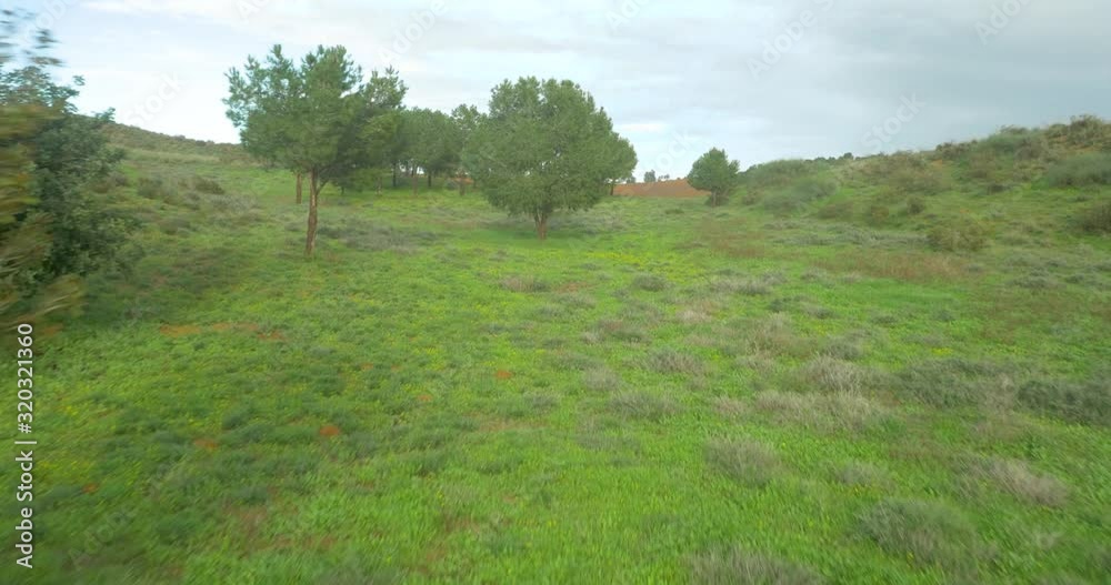Aerial drone flight (low-flying) between trees in a green countryside and an orange land (plowed but uncultivated). Aerial drone flight (low-flying) between trees in a green countryside and an orange land (plowed but uncultivated).