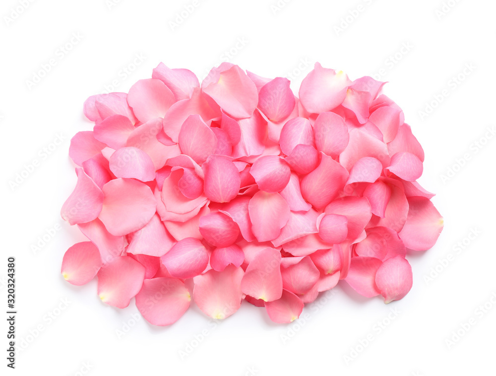 Fototapeta premium Pile of fresh pink rose petals on white background