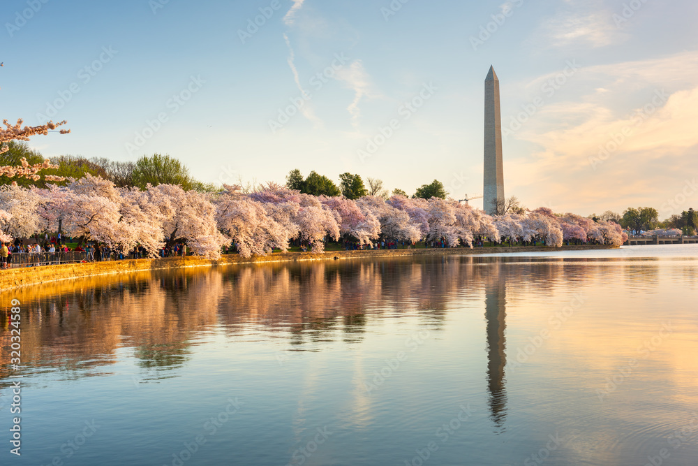 Washington DC, USA in Spring - obrazy, fototapety, plakaty 