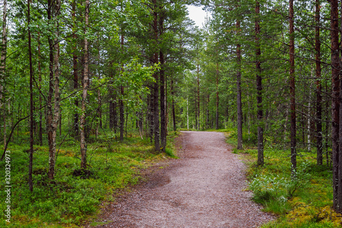 Trail running through green dense mixed forest. Forest landscape on a summer day in Lapland, Finland. © Plamen Petrov