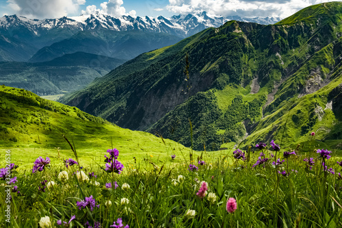 Green meadow in Georgia. Green Georgian meadow full of blooming wildflowers overlooking Caucasus Mountains. photo