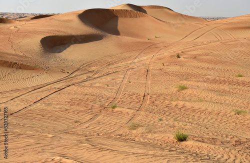 Spuren in der Wüste 
