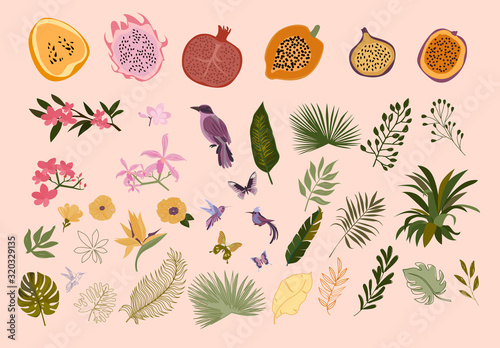 Collection of tropical leaves and flowers, fruits, birds and butterfly. Editable vector illustration.