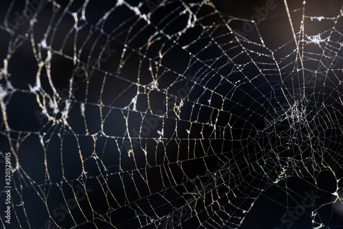 Close up shot of a spider web.