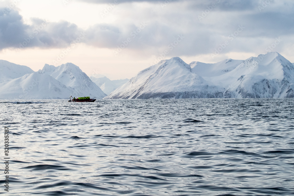 rib boat in the Arctic polar sea for excursions and whale and cetacean ...