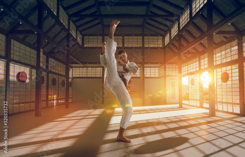 Karate fighters on tatami at sunrise. Japanese hall. © Victoria VIAR PRO