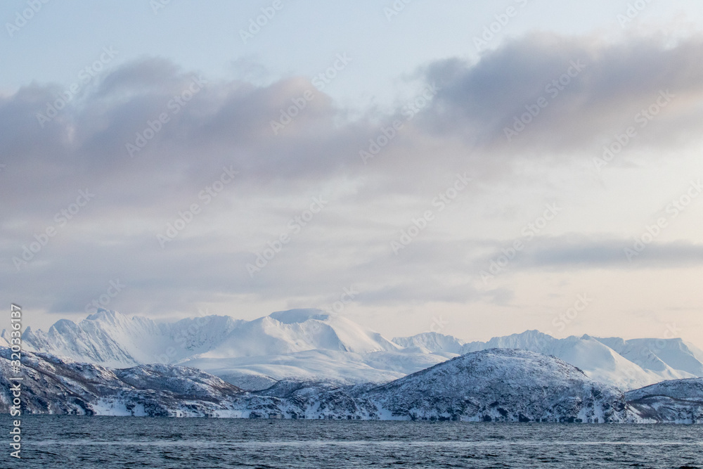 Arctic landscape in winter with snowy mountains and sea. Norwegian coasts and fjords seen from the boat in the open sea. Arctic polar north europe landscape with white snow and ice