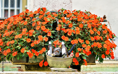 Fountain and blooming flowers in Kramgasse street in Bern, Switzerland. Mixed media. photo