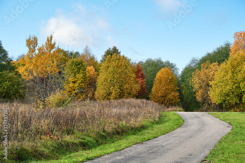 Sunny autumn day in the forest near a winding road © Andrey Tronkov
