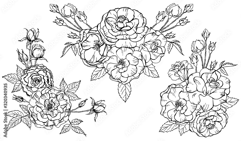 Set of outline bouquet of roses isolated on white background. Vector illustration. Perfect for invitation, greeting card, postcard, print, fashion design.