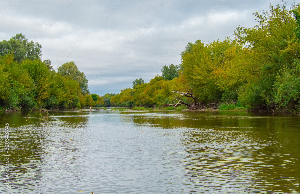 Panoramic view of Teteriv River, which floats on the territory of Ukraine. Photos from the boat on the middle of the river. Ahead visible obstacles as felled trees in the water Panoramic view of Teteriv River, which floats on the territory of Ukraine. Photos from the boat on the middle of the river. Ahead visible obstacles as felled trees in the water