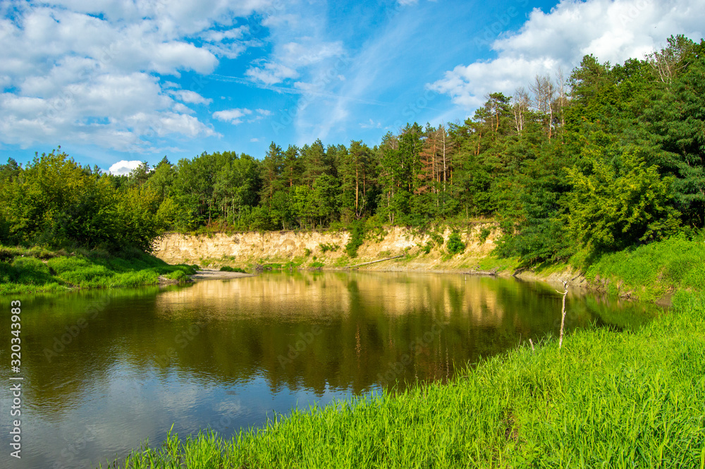 Bank of river - in foreground - bank, covered with juicy green grass, in background - precipice with forest that grows. Section of Western Bug River, which flows through Ukraine and Poland in Europe