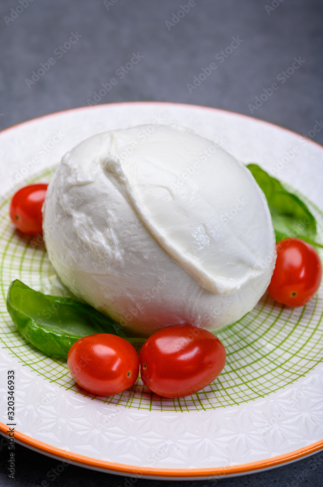 Cheese collection, soft white Italian mozzarella di bufala campana with fresh green basil leaves and red cherry tomatoes