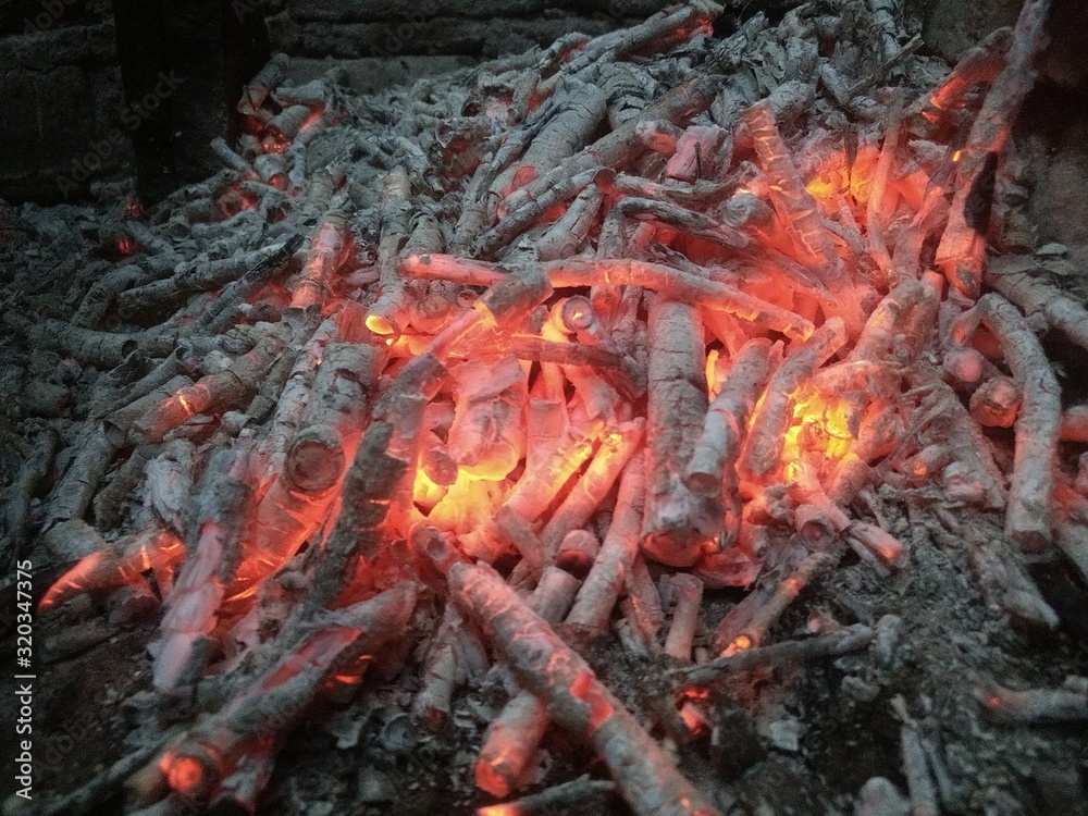 fire in forest