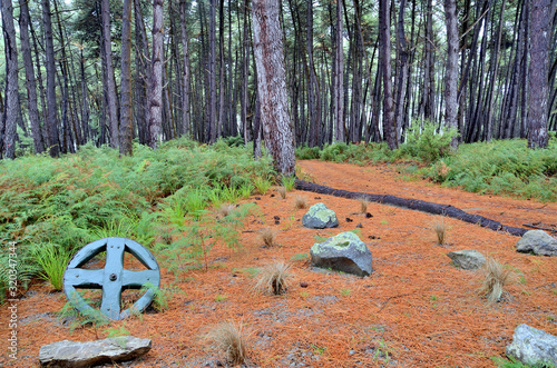 New Zealand Rotorua Wai-O-Tapu Thermal wonderland