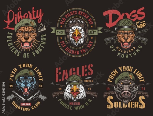 Vintage military colorful badges