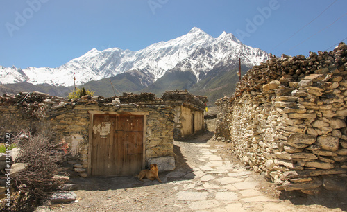 The whitewashed stone houses of an ancient village between Marpha and Kagbeni with the backdrop of the snow covered Nilgiri South mountain on the Annapurna Circuit trekking trail in Nepal. photo