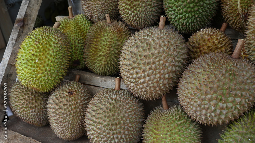 King of Fruits, Durian is a popular tropical fruit in Asia King of Fruits, Durian is a popular tropical fruit in Asia