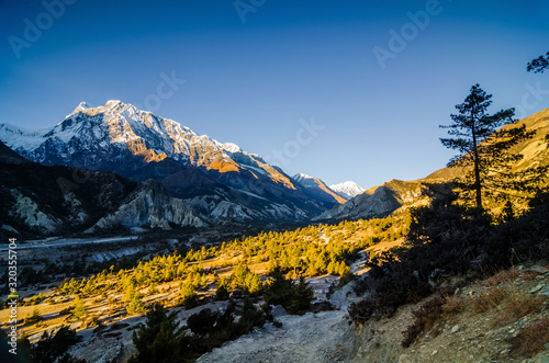 Trekking route between Ngawal and Bhraka villages in early sunny morning with Mt. Gangapurna on the left. Marshyangdi river valley  Annapurna circuit trek  Nepal.