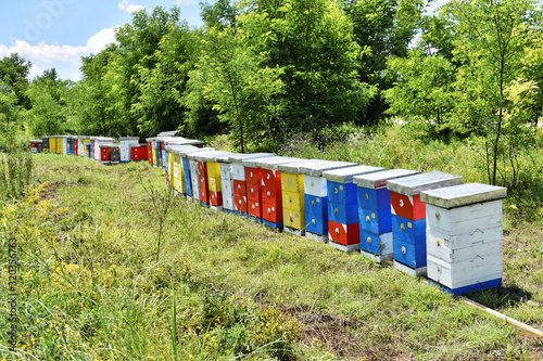 Meadow honey farm in the wildflower field             
