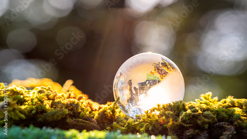 Crystal ball transparent in sunset on blurred abstract tropical forest scene. photo