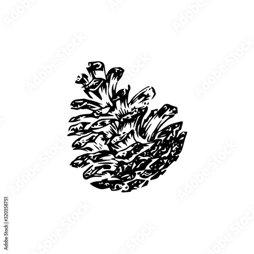 Hand drawn pinecone vector illustration. Linocut pine or fir cone decorative graphic image. Stylized monochrome engraved black isolated on white background