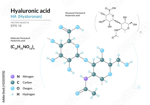 Hyaluronic acid. HA Hyaluronan. Structural chemical formula and molecule 3d model. Atoms with color coding. Vector illustration photo