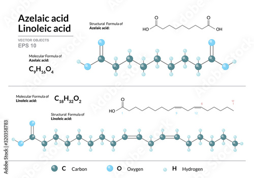 Azelaic and Linoleic acids. Dicarboxylic and Polyunsaturated Omega-6 Fatty Acid. Structural chemical formula and molecule 3d model. Atoms with color coding. Vector illustration