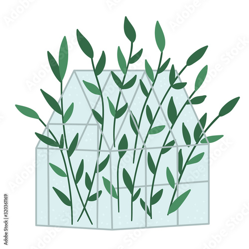 Fototapeta Naklejka Na Ścianę i Meble -  Vector greenhouse with green plants. Flat hot house illustration isolated on white background. Side view greenroom picture. Spring garden illustration..