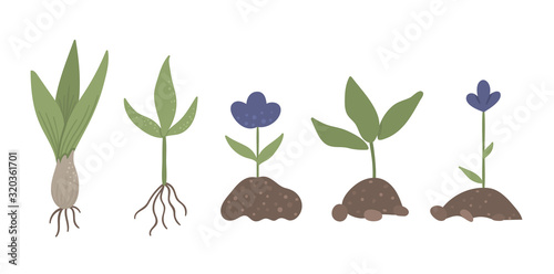 Vector set of sprouted plants with roots, flowers, bulb isolated on white background. Flat spring garden illustration. Gardening icons collection.