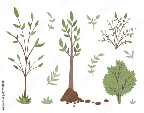 Vector set of trees, plants, shrubs, bushes, twigs isolated on white background. Flat spring garden illustration. Gardening or forest icons collection.