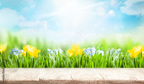 Wooden table and blurred green spring or summer background with grass and flo...