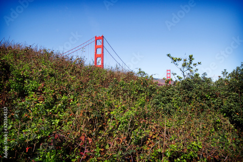 Golden Gate Bridge seen from Battery E Trail in San Francisco, California photo