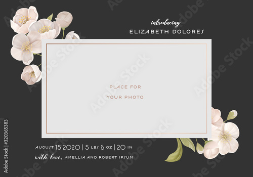 Introducing Baby Card Template with Realistic White Cherry or Sakura Flowers, Creative Elegant Background, Frame for Photography with Birth Certificate Information of Newborn Child Vector Illustration