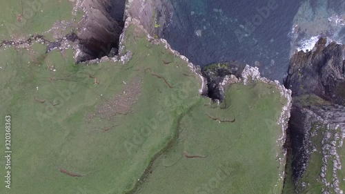 Scotland, Isle of Skye, Aerial Sea Cliff, Birds flying2 photo