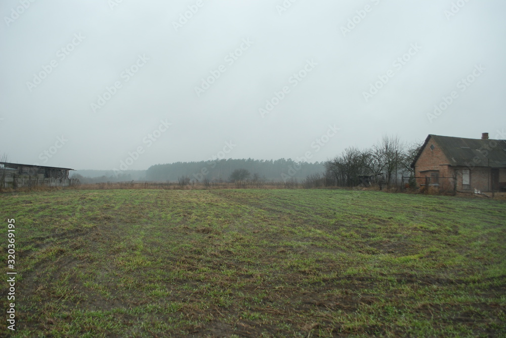 field, village, spring, reed, grass, ax, logs, bonfire, rain, boat, girl, flower field, village, spring, reed, grass, ax, logs, bonfire, rain, boat, girl, flower