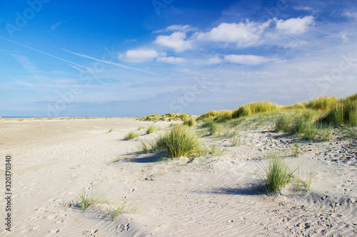 the dunes, Renesse, Zeeland, the Netherlands