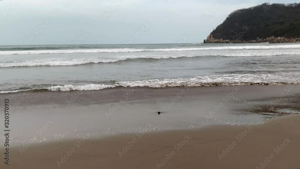 Acapulco Bay Beach, Mexico. Static View on Ocean Waves on Sandy Beach and Cape in Background Acapulco Bay Beach, Mexico. Static View on Ocean Waves on Sandy Beach and Cape in Background