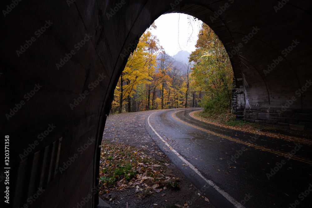 tunnel with light at end of tunnel, road in forest, road in autumn,Winding road, autumn foliage, Great Smoky Mountains