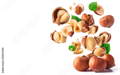 Hazelnuts crushed into pieces, frozen in the air. photo